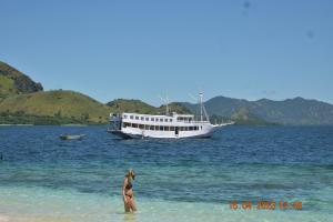 4D3N CRUISE Lombok-Komodo-Flores