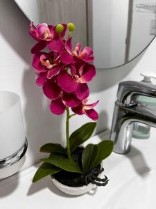 Apt luxury wifi AC pool at Cartagena