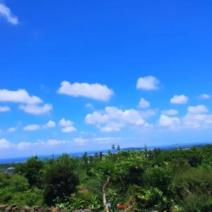 Jeju Happiness Pension