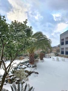 Jeju Happiness Pension