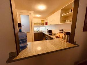Departamento, condominio Brisas de Puyai