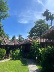 Jungle View Resort