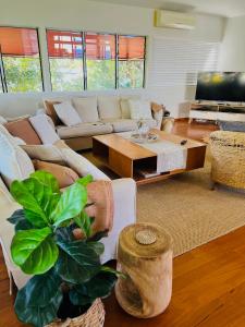 Beachside Escape, Sunshine Beach