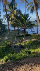 Quarto na Casa Amar com vista para o mar