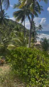 Quarto na Casa Amar com vista para o mar