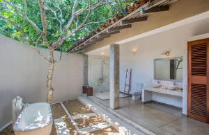 The Frangipani Tree by Edwards Collection - Thalpe