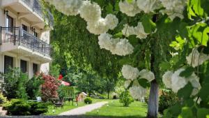 PENSIUNEA DIMITRIOS Relaxare cu jacuzzi pe Valea Cernei