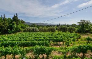 Nice Home In Sarrians With Wifi