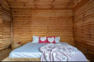 Zayru Cottage & cafe