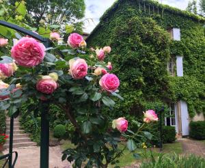 Hotels Le Moulin De La Beune : photos des chambres