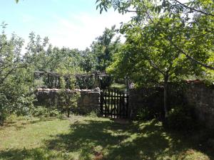 Studio Apartment with Sea View room in Apartments Hatic