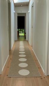 Modern Beach House In Gilleleje