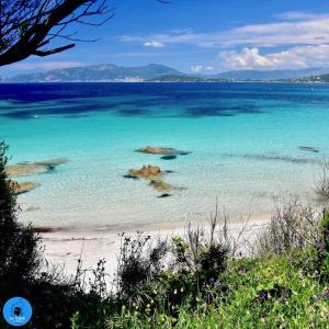 Villas Maison plage a pied 6 personnes : photos des chambres