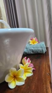 Blue Paradise Guest House