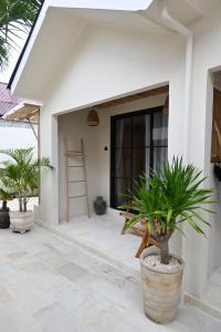 Koa Coco Casa