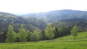 Gite de la Ferme de la Bouille