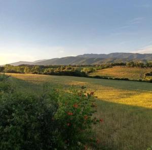 Villa Ines with pool and Jacuzzi hot tube