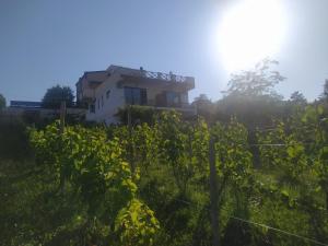 Hotel Shindisi Inn Tbilisi