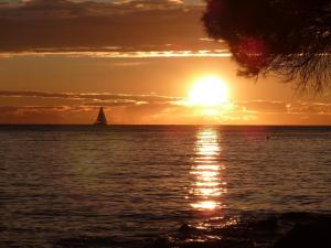 Villa Green House, a warm and beautiful pet friendly villa