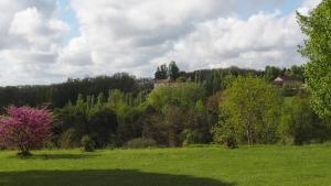 B&B / Chambres d'hotes Chateau Le Tour - Chambres d'Hotes : photos des chambres