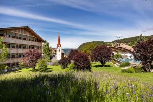 Artnatur Dolomites Hotel & Spa