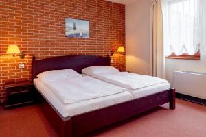 Deluxe Double Room with Shower room in Hotel Purkmistr