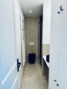 Paris 17 Elegance and Light Monceau and Batignolles