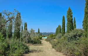 Amazing Apartment In San Vito In Monte