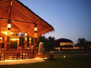The Buffalo Amphawa