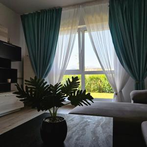 Apartament Rasnov VMP Free parking