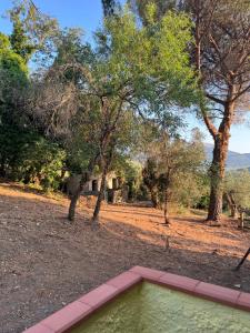 Double Room with Park View