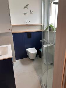 Apartament szafirowy z basenem -Łeba