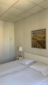 1 bedroom flat in the best street Nice