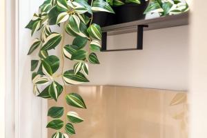 Green Apple - a 10 minuti dal Duomo di Milano