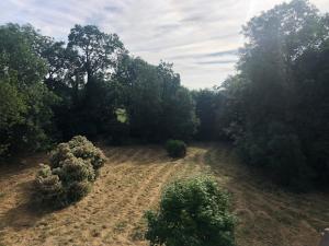 B&B / Chambres d'hotes Chateau de Blot : photos des chambres