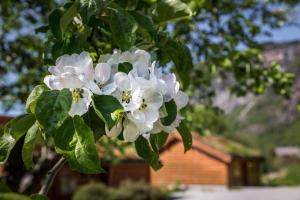 Gaupnetunet Hotell og Hytter