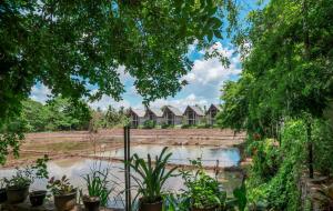 Lavendish Wild Wilpattu