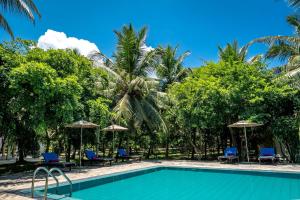 Lavendish Wild Wilpattu