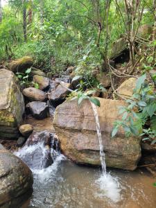 Ramboda Jungle Resort