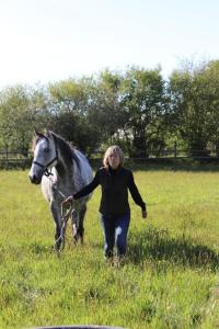 B&B / Chambres d'hotes Decouverte d'un Haras proche du Mont St Michel : photos des chambres