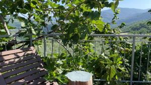 CasaVacanze NiGiNo