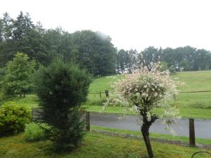 Ferienwohnung Inauen s Kiek in