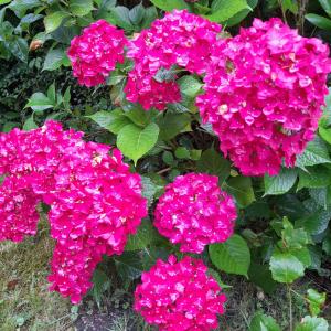Ferienwohnung Inauen s Kiek in