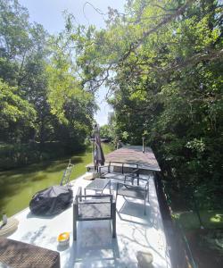 Bateaux Insolite Peniche Amazonie canal du midi : photos des chambres