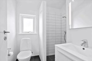 Beach, Starry Sky And Peace By The Water