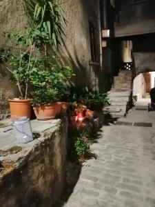 TRE METR SOPRA IL CIELO AcquAria