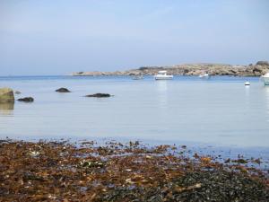 Maisons de vacances maison de charme dans village de bord de mer : photos des chambres