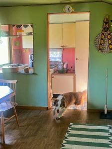 Off-Grid Summer Pavilion With Views Of Gotlands Nature