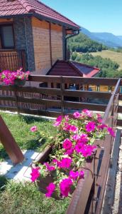 Apartman Sofiana
