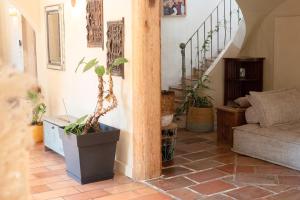 Provençal Farmhouse In Preserved Natural Setting